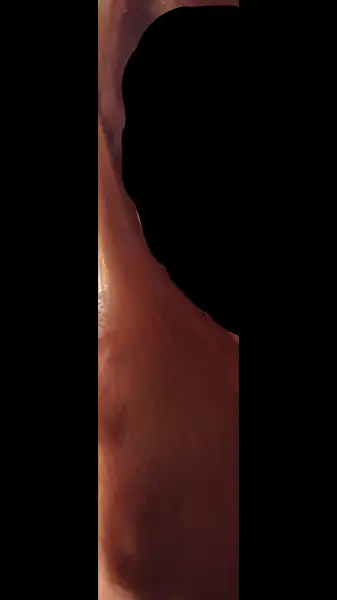 Screenshot_20160803-230411.webp