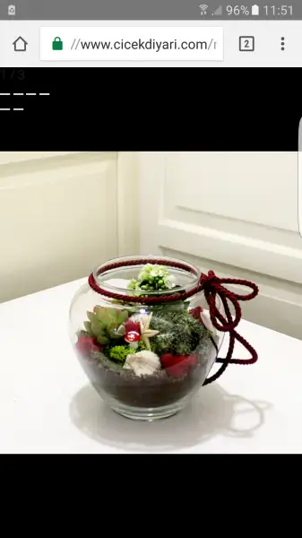 Screenshot_20161121-115113.webp