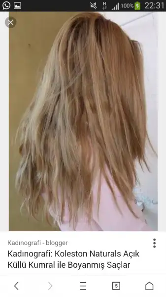 Screenshot_2017-05-15-22-31-14.webp