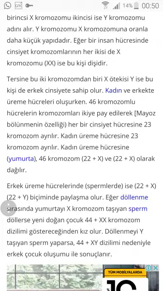 Screenshot_2017-10-14-00-50-27.webp