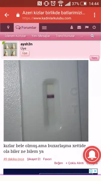 Screenshot_2018-04-02-14-44-58.webp
