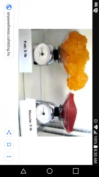 Screenshot_2018-04-22-08-30-45.webp