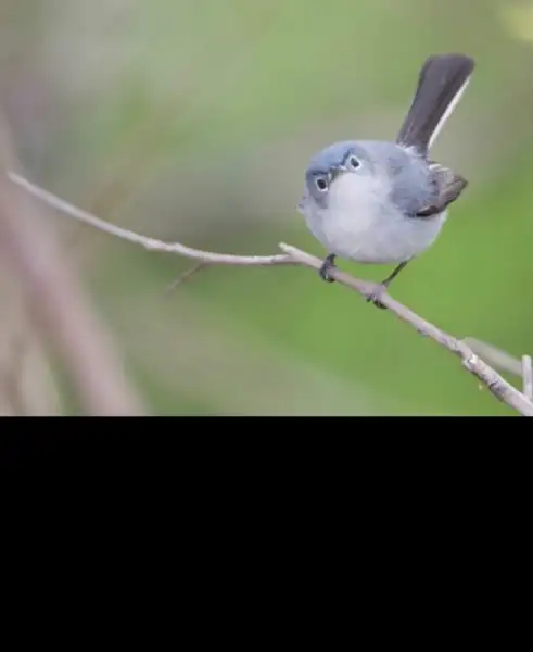 Screenshot_2018-05-09-13-47-59.webp