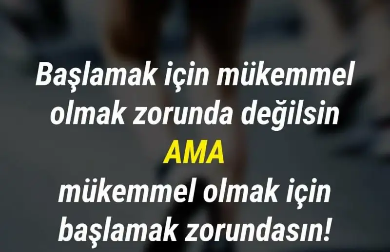 Screenshot_2018-07-08-18-49-53-252.webp