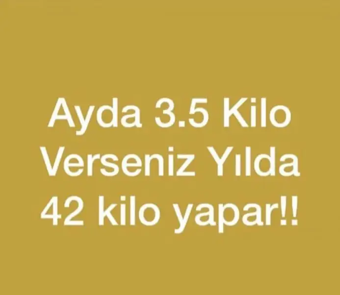 Screenshot_2018-07-23-18-19-19-638.webp