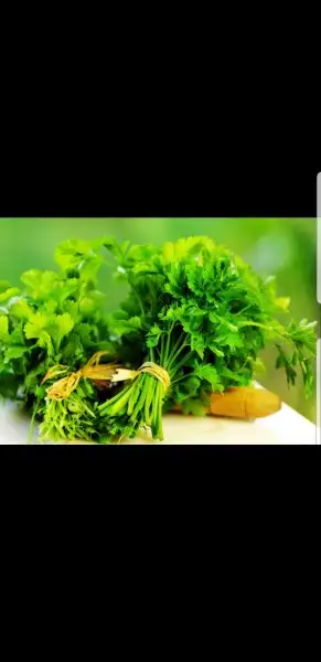 Screenshot_20180318-130912_Gallery.webp