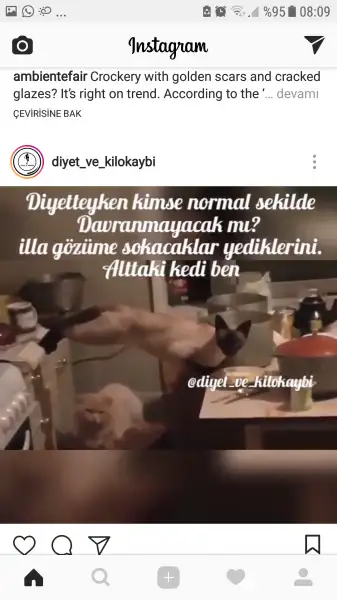 Screenshot_20180330-080915.webp
