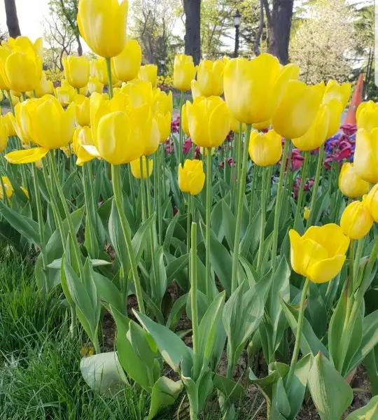 Screenshot_20180424-223534_Gallery.webp