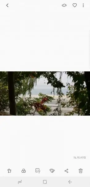 Screenshot_20181016-124248_Gallery.webp