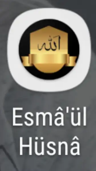 Screenshot_20181031-194836.webp