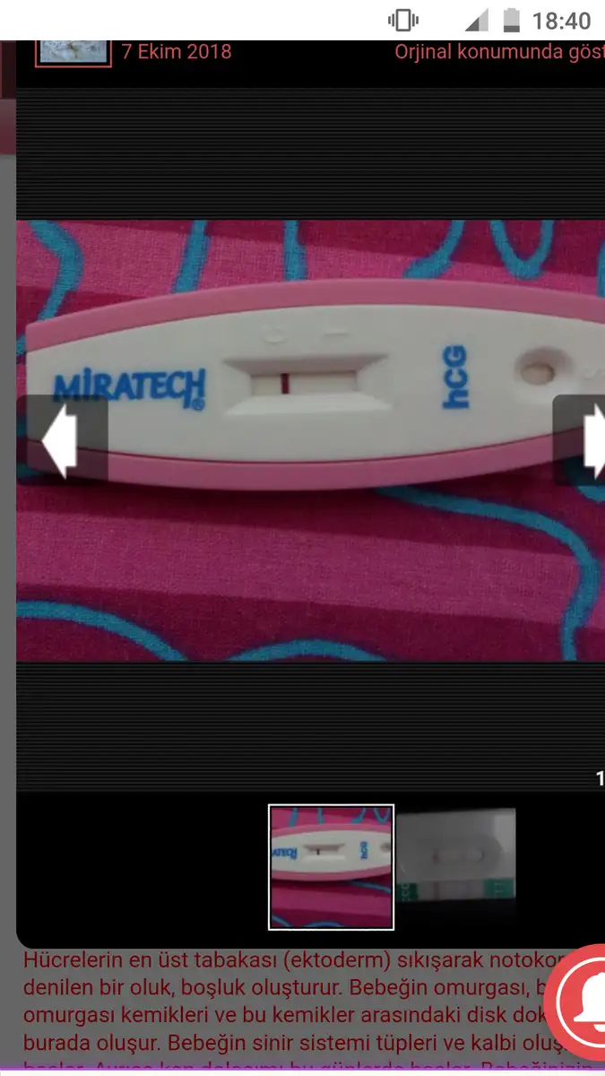 Screenshot_20181108-184054.webp