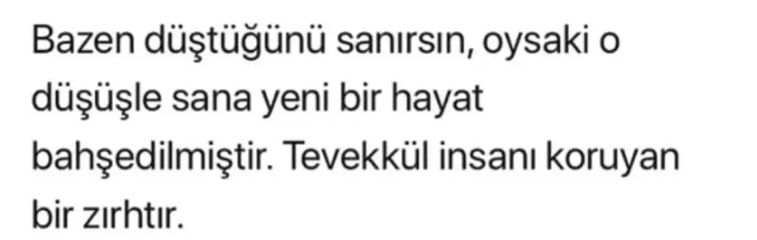 Screenshot_20181202-123754.webp