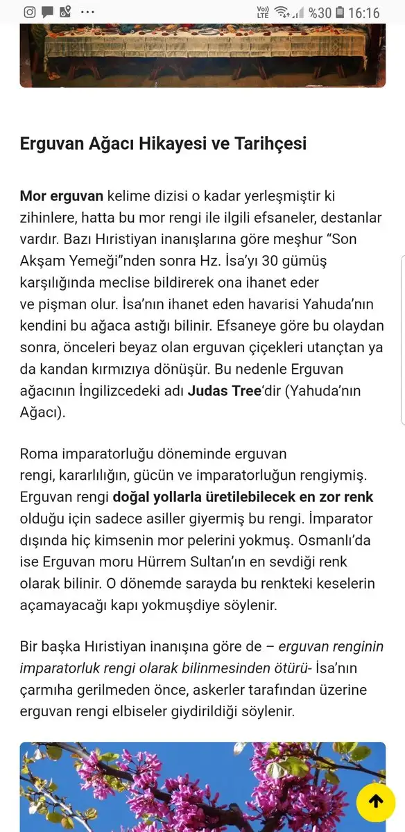 Screenshot_20190126-161638_Samsung Internet.webp