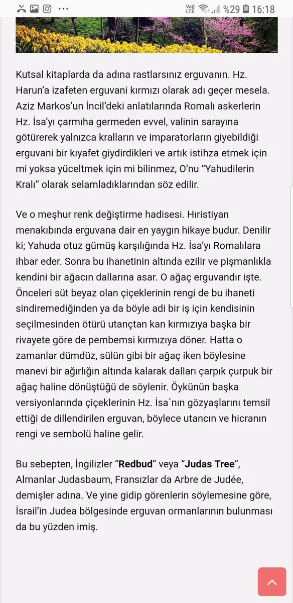 Screenshot_20190126-161828_Samsung Internet.webp