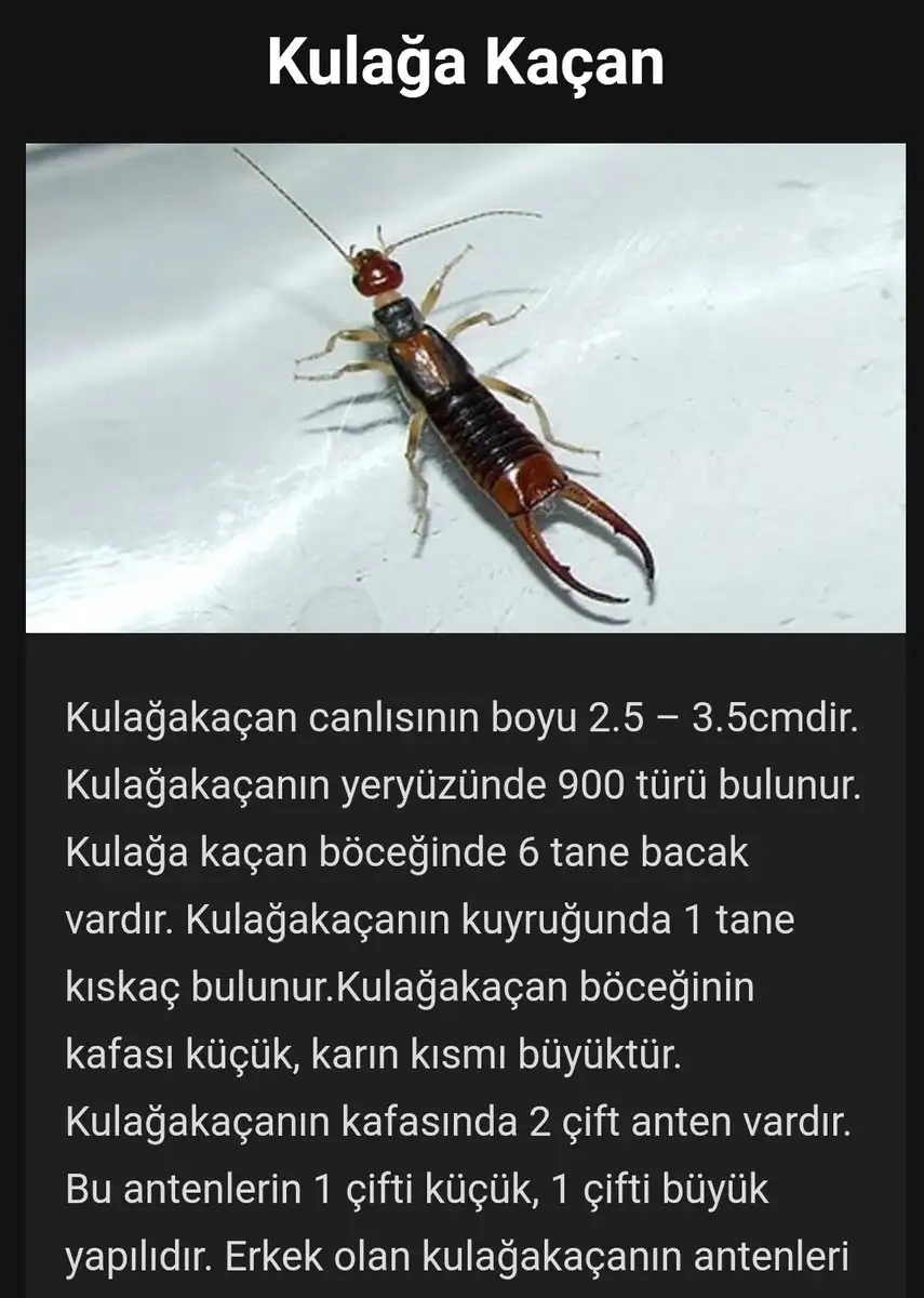 Screenshot_20190224-210820_Samsung Internet.webp