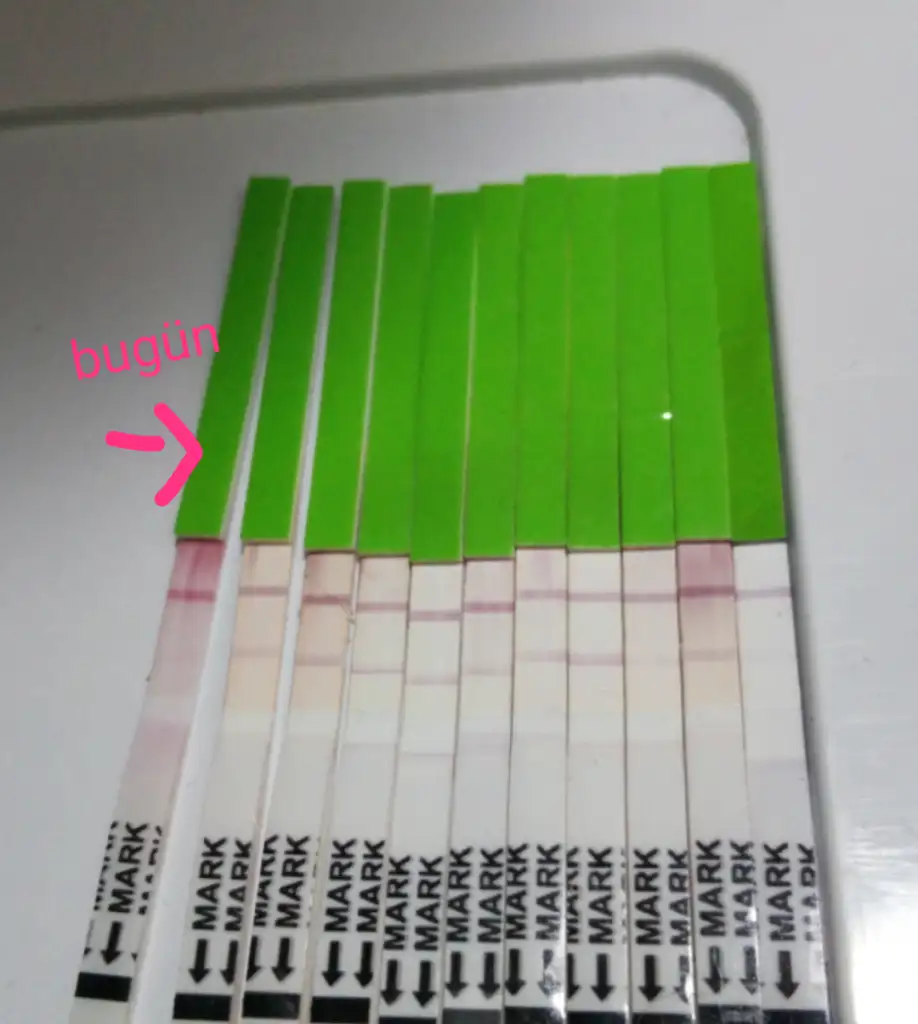 Screenshot_20190905-155538.webp