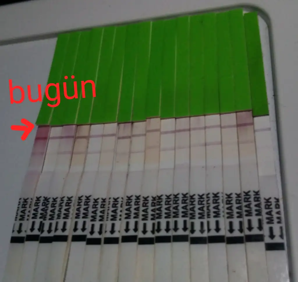 Screenshot_20190910-150318.webp
