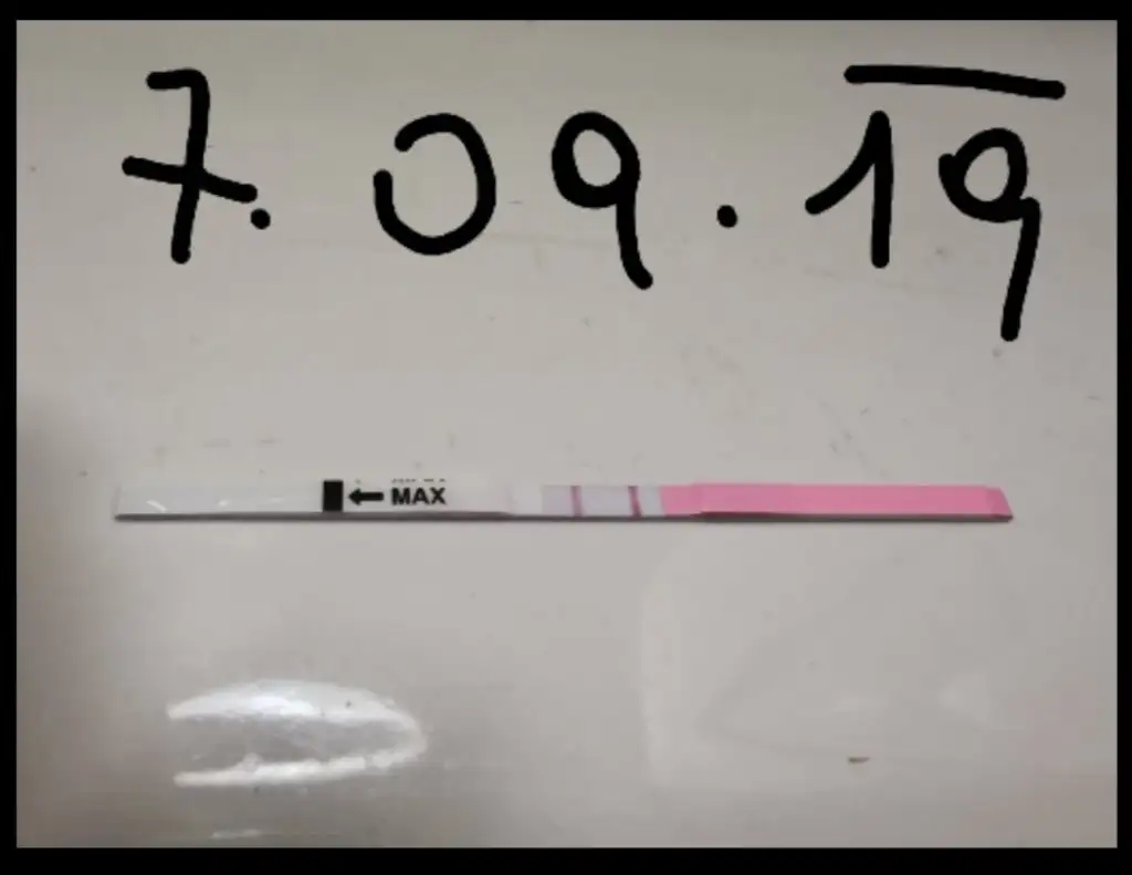 Screenshot_20190921_124357.webp