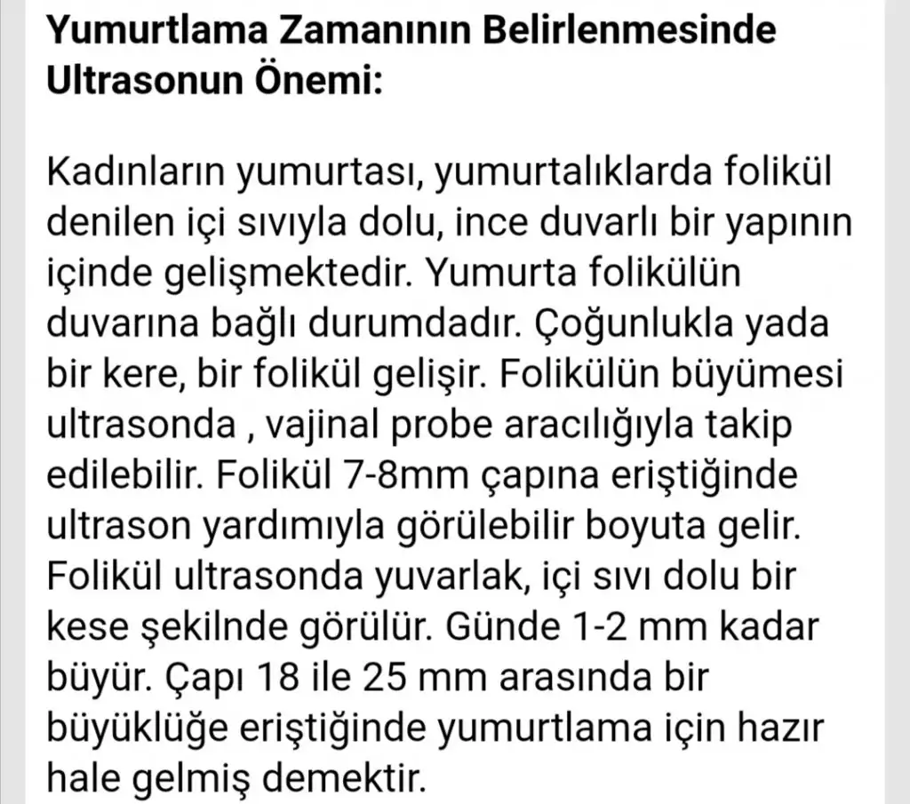Screenshot_20191220_151403.webp
