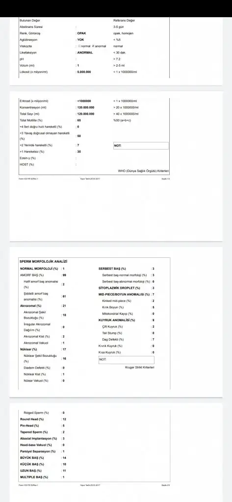 Screenshot_2020-03-05-11-11-26-977_com.google.android.apps.docs.webp