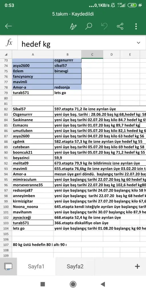 Screenshot_2020-08-03-00-53-01-426_com.microsoft.office.excel.webp