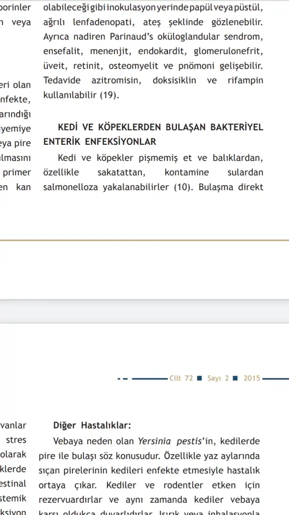 Screenshot_20200105-180145.webp