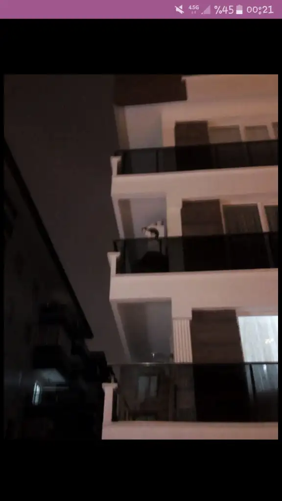 Screenshot_20200205-002148.webp