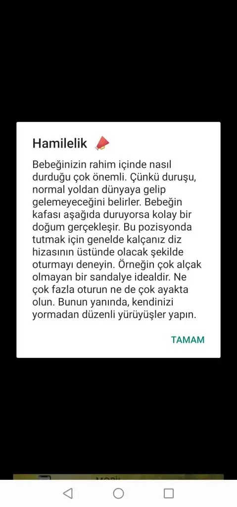 Screenshot_20200927_214837_com.zoobagames.android.hamilelik.webp