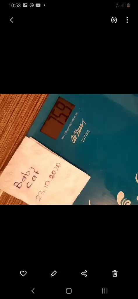 Screenshot_20201023-105326_Gallery.webp
