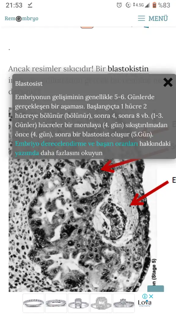 Screenshot_20201025-215338.webp