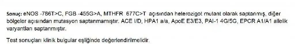 Screenshot_20210103-004900_Drive.webp