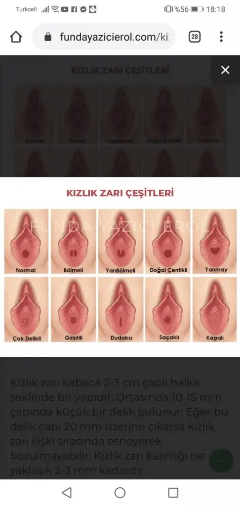 torbalı escort