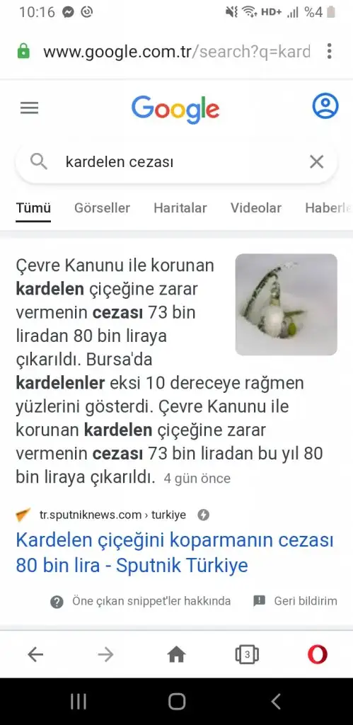 Screenshot_20210218-101656_Opera.webp