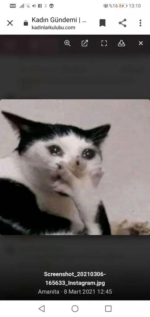 Screenshot_20210308-131033.webp
