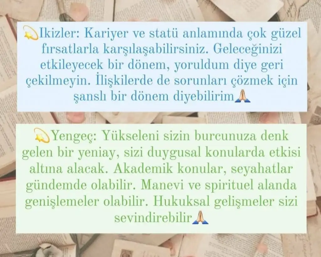 Screenshot_20210312-133209_Instagram.webp