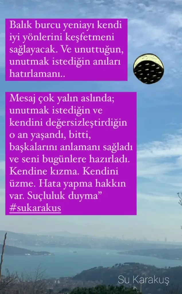 Screenshot_20210313-190442_Instagram.webp