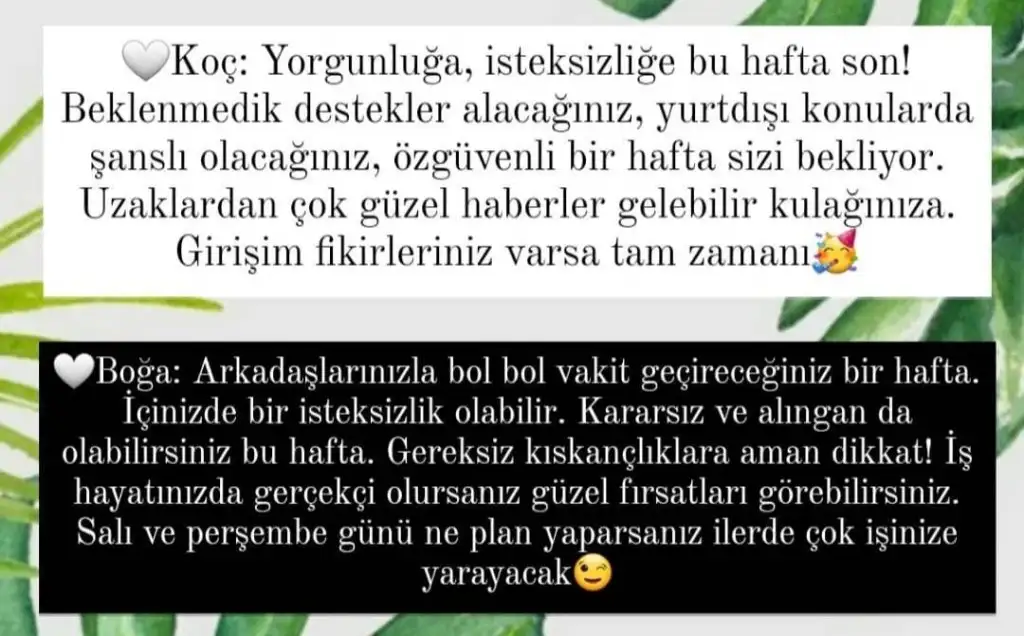 Screenshot_20210314-220551_Instagram.webp