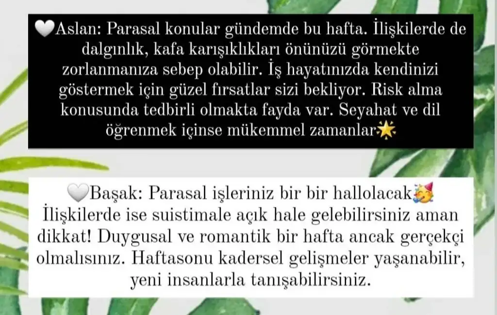 Screenshot_20210314-220557_Instagram.webp