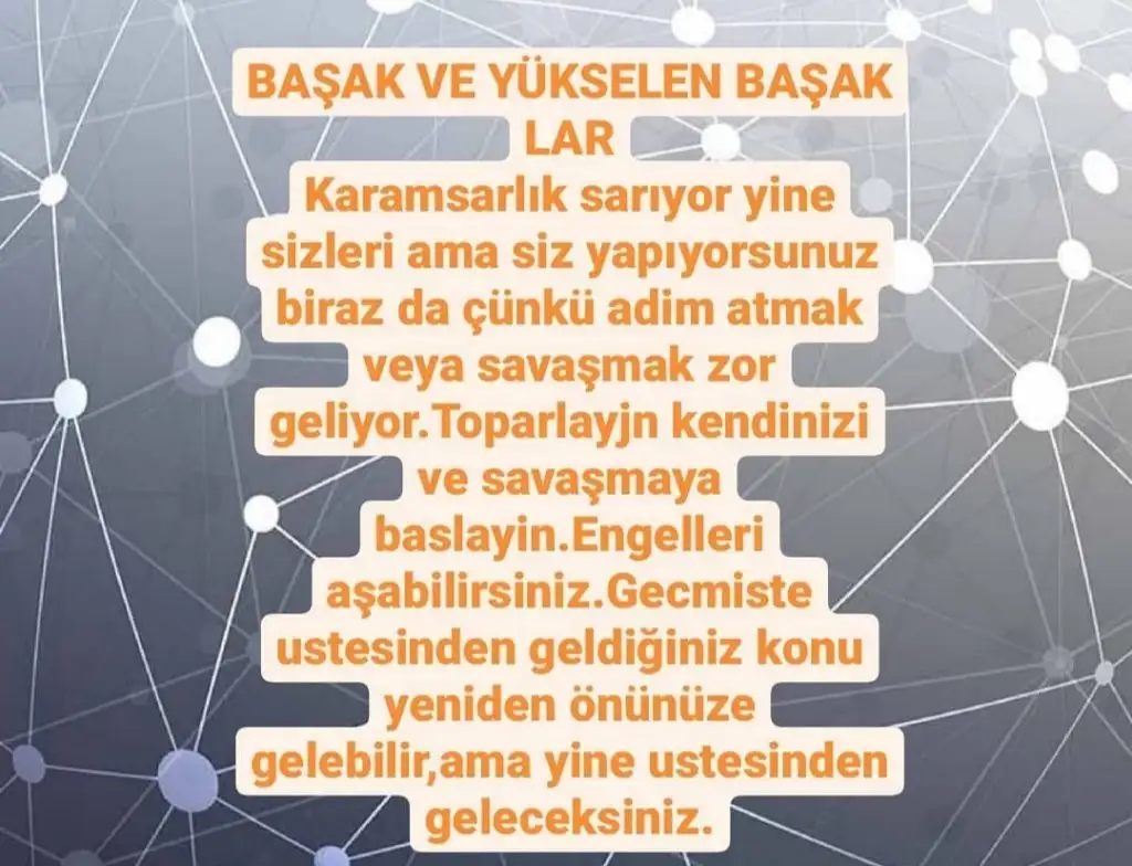Screenshot_20210411-193401_Instagram.webp