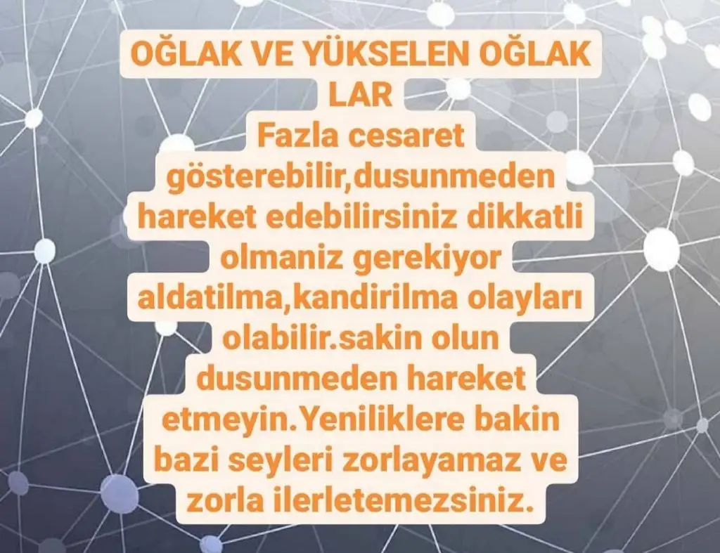 Screenshot_20210411-193416_Instagram.webp