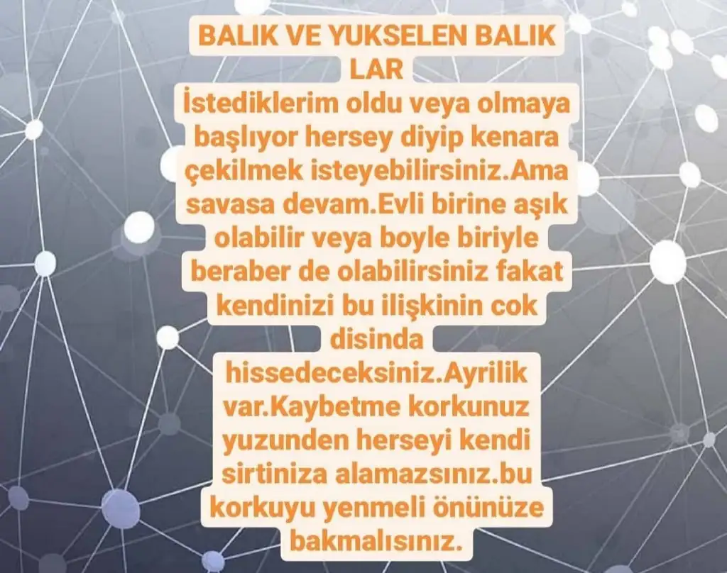 Screenshot_20210411-193422_Instagram.webp