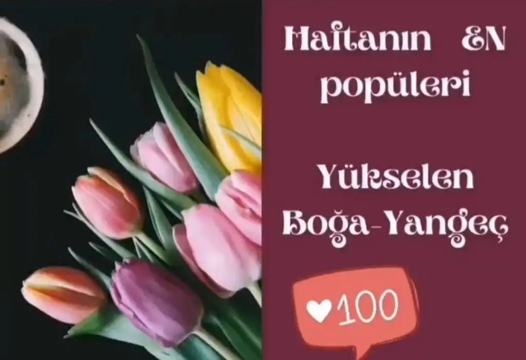 Screenshot_20210419-152947_Instagram.webp