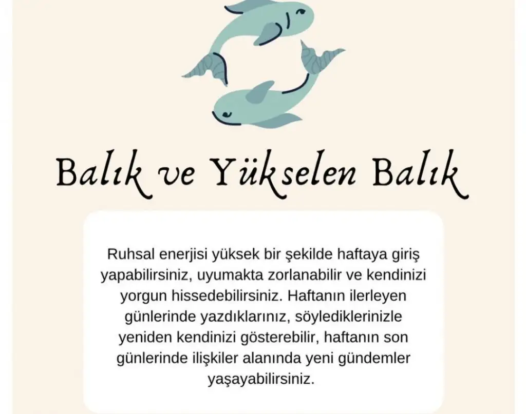 Screenshot_20210419-154130_Instagram.jpg