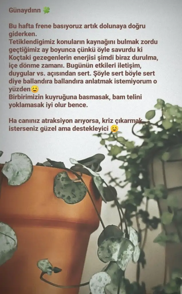 Screenshot_20210420-223133_Instagram.webp