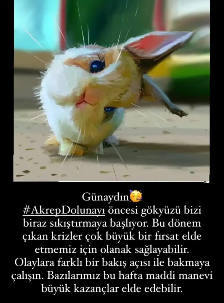 Screenshot_20210421-231745_Instagram.webp