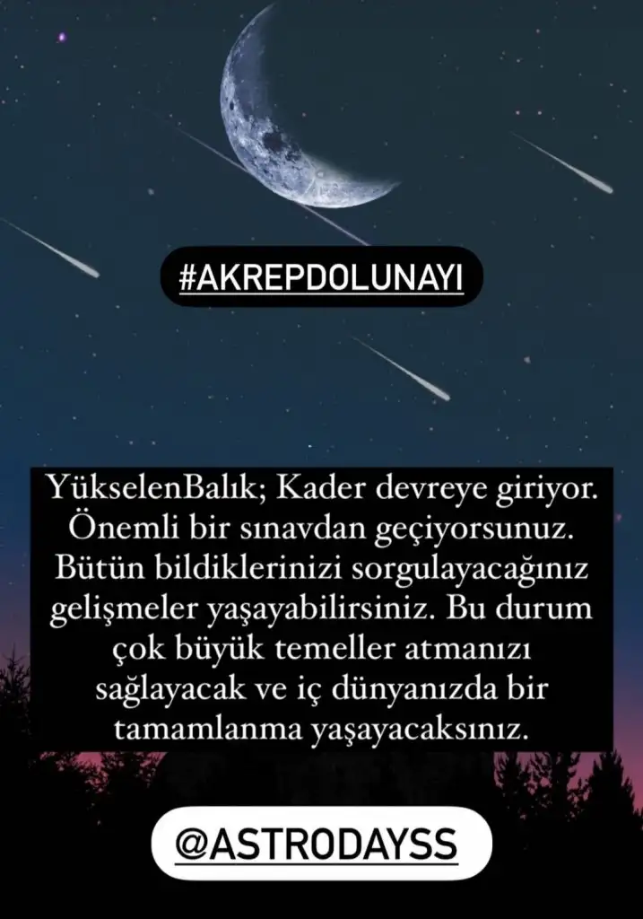 Screenshot_20210423-191806_Instagram.webp