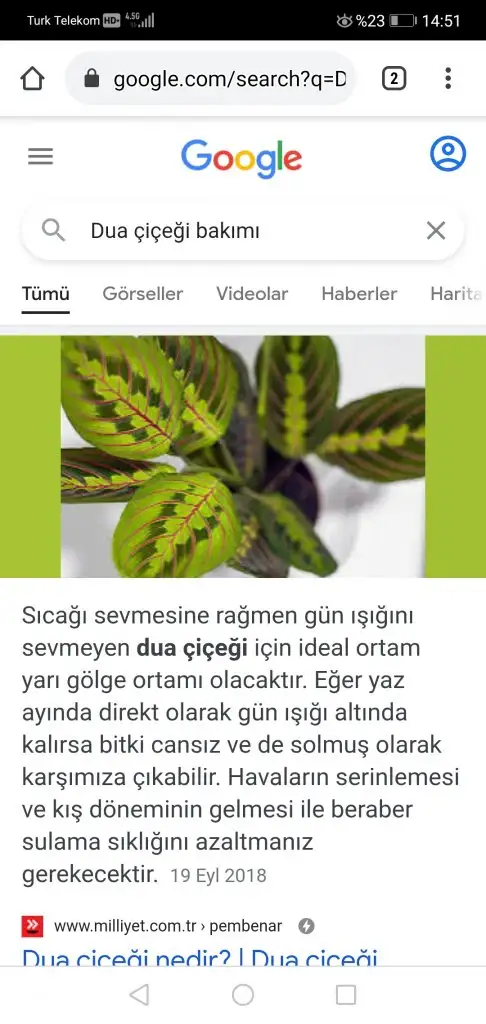 Screenshot_20210430_145129_com.android.chrome.webp