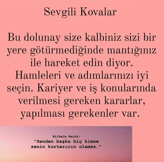 Screenshot_20210504-195536_Instagram.webp