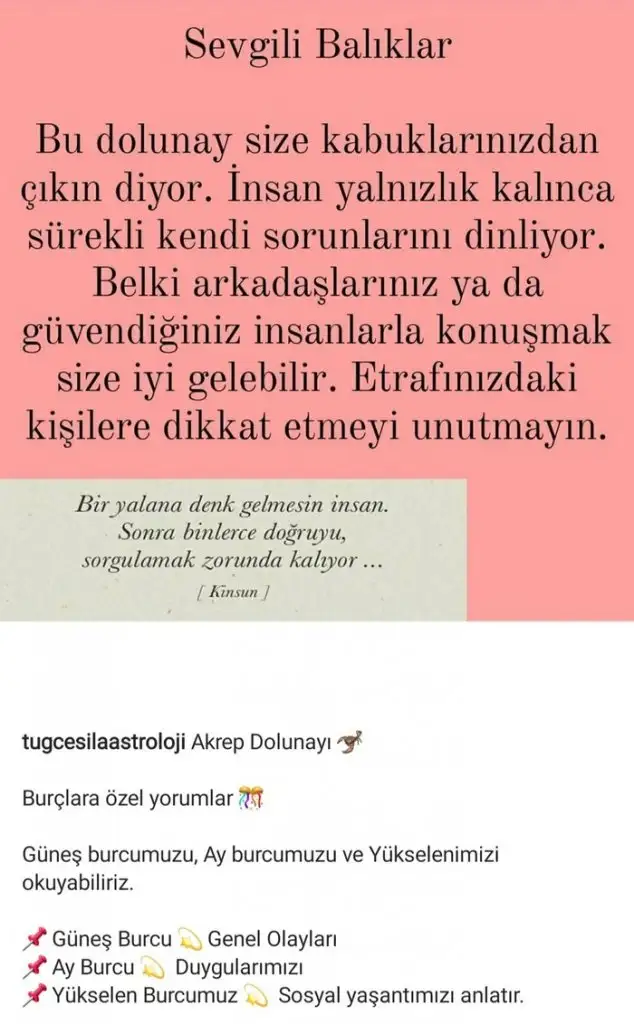 Screenshot_20210504-195546_Instagram.webp