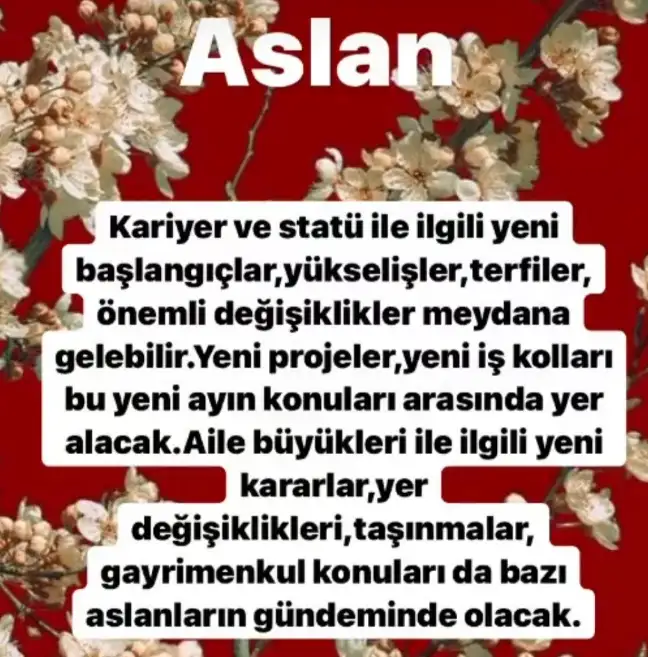 Screenshot_20210509-180857_Instagram.webp